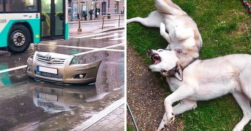 15 zbunjujućih fotki koje ćete trebati malo bolje pogledati kako biste ih shvatili