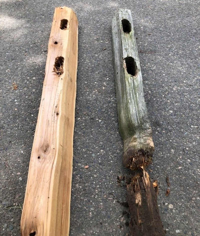 Nova ograda i stara ograda