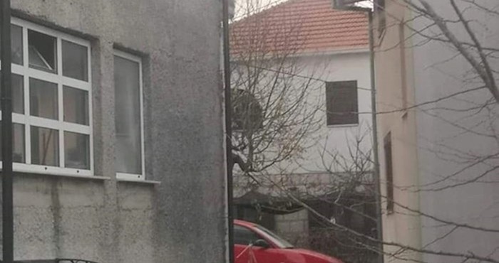 Dalmatinac je kod susjeda vidio prečudan prizor u dvorištu, pogledajte što je slikao