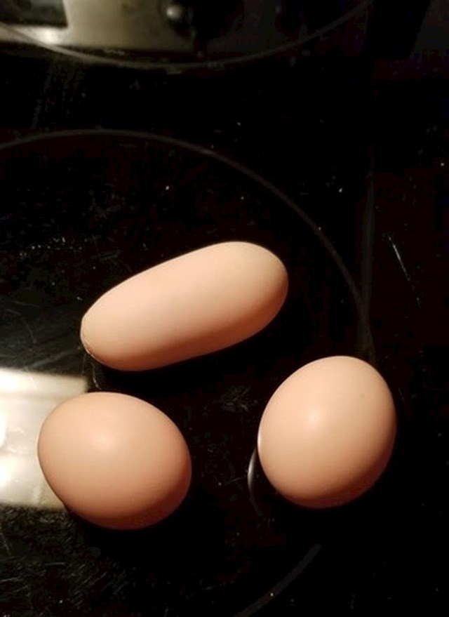 Jeste li ikad vidjeli jaje ovakvog oblika?
