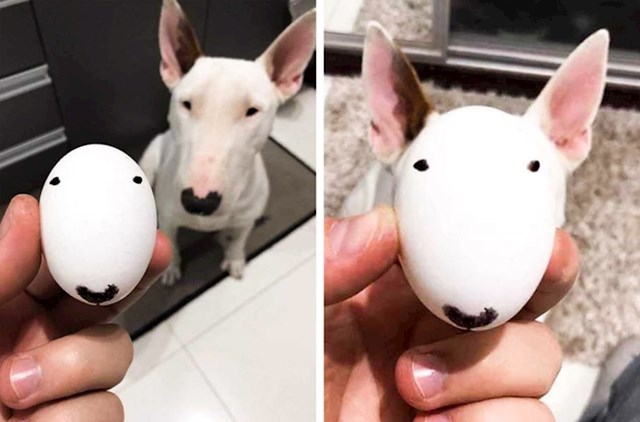 "Zašto ovo jaje izgleda kao moj pas?"