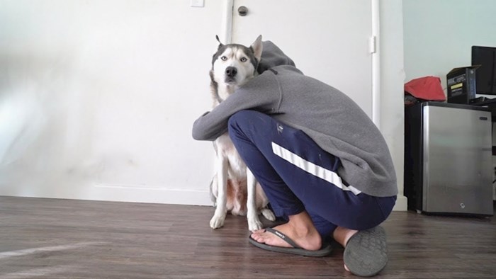 VIDEO Lik je provjerio što se dogodi kad svog psa predugo grlite, evo kako je haski reagirao