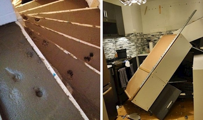 15 ljudi koji su na teži način naučili da renovacije mogu biti zeznuta stvar