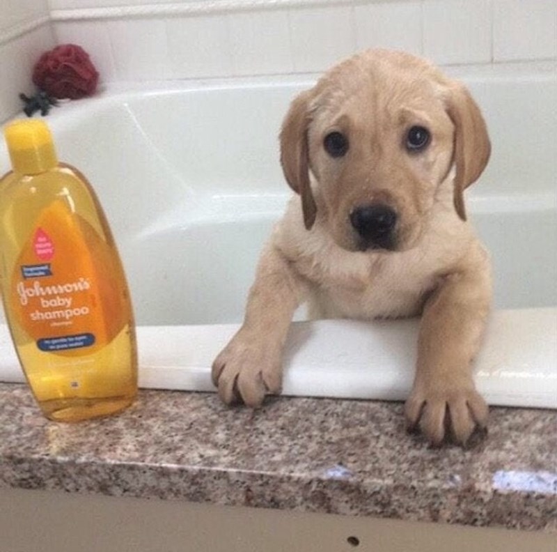 Kad shvatiš da se ovaj puta ne možeš izvući iz kupke.