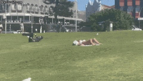 GIF Sljedeći put kada vidite da se netko sunča obavezno probajte ovo