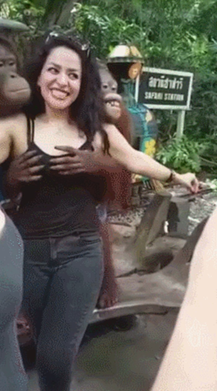 GIF Bezobrazni majmun dirao je ženu tamo gdje ne smije