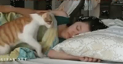 Jutroooo... vrijeme za ustajanje