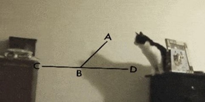 Mačka je dugo razmišljala kako napraviti ovaj skok, mislite li da je uspjela?