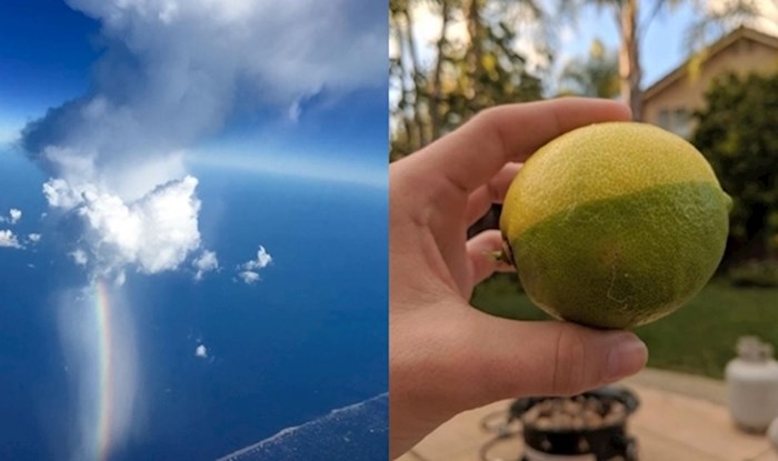 14 neobičnih i rijetkih fotogafija stvari koje ćete možda vidjeti jednom u životu