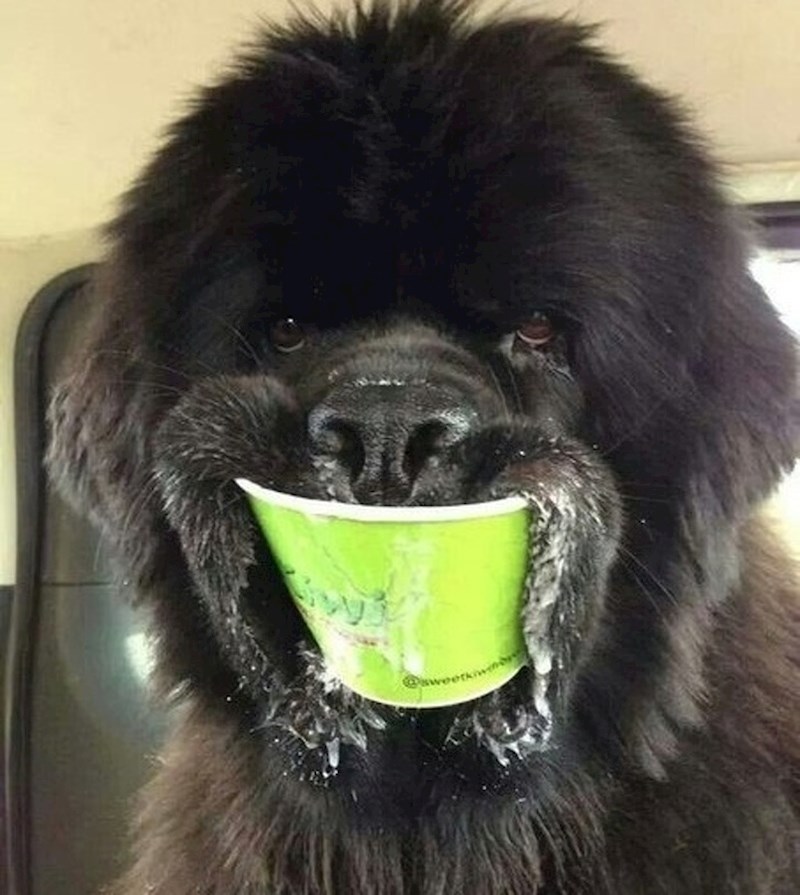 Tko ne voli sladoled?