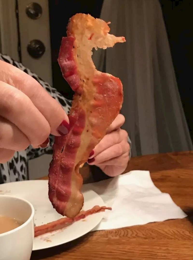 Slanina ili morski konjic?