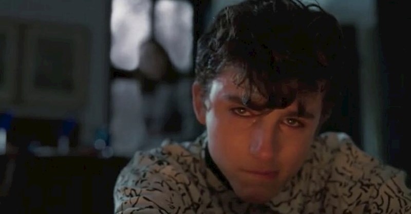 Skrivena ljubav (Call me by your name), 2017