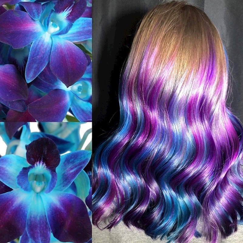 Predivno ljubičastoplavo cvijeće.