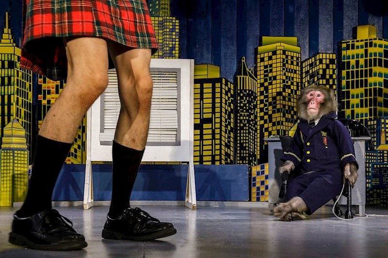 "Više se ne bojim", Jasper Doest, Nizozemska