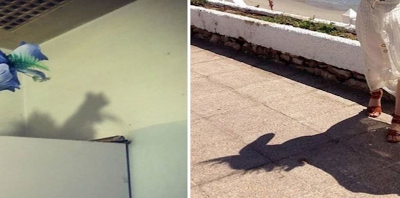 15 fotografija u kojima su sjene pretvorile obične fotografije u umjetnost