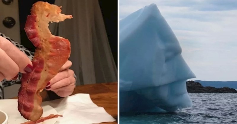 15 fotografija ludih slučajnosti koje su ljudi morali fotografirati