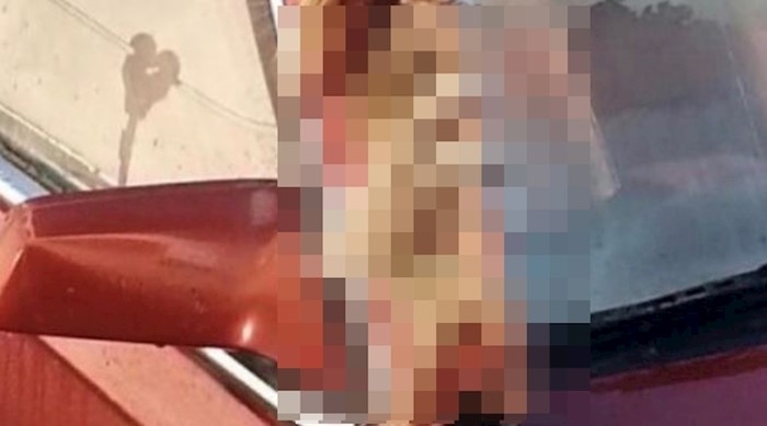Ovaj originalan ukras na autu nasmijao je i začudio prolaznike