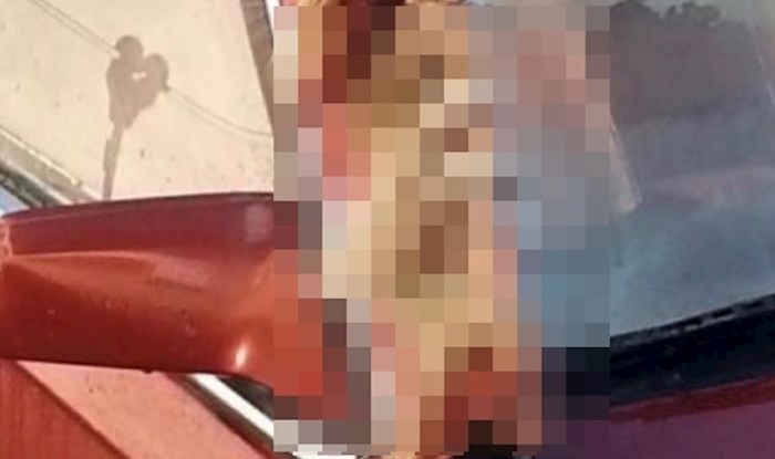 Ovaj originalan ukras na autu nasmijao je i začudio prolaznike