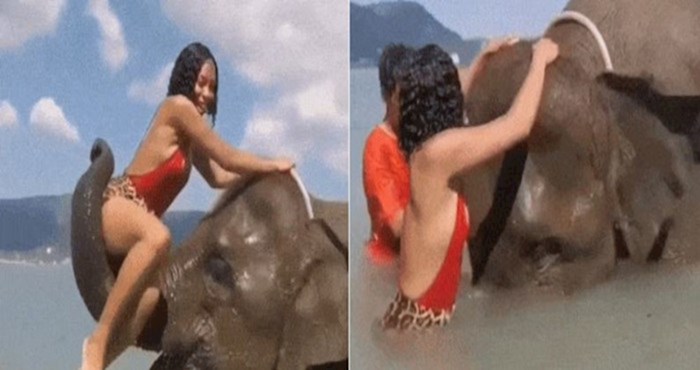 Pogledajte kako je ovaj slon neugodno iznenadio djevojku