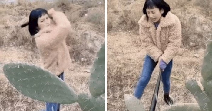 Djevojka je udarila palicom o kaktus, pogledajte zašto je zaplakala odmah nakon što je to učinila