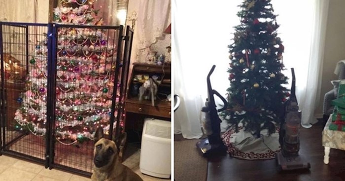 Genijalni načini kako zaštititi svoje božićno drvce od kućnih ljubimaca