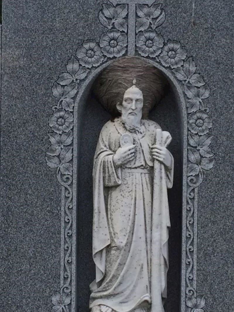 Kip sada ima turban napravljen od osinjeg gnijezda.