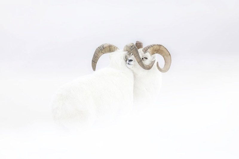 "Zamrzunti trenutak", Jeremie Villet, Francuska