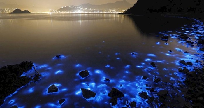 Bioluminiscentni planktoni svijetle u mraku i donose magičnu atmosferu
