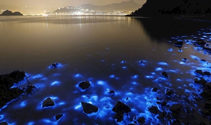 Bioluminiscentni planktoni svijetle u mraku i donose magičnu atmosferu