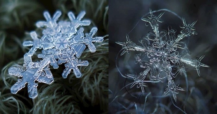 Makro fotografije snježnih pahuljica otkrivaju njihov nevjerojatno savršeni dizajn