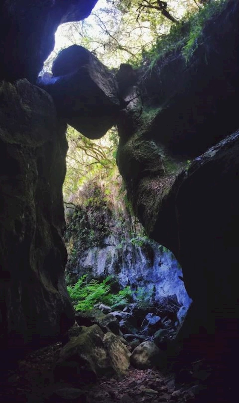 Ova rupa u kamenu izgleda poput mačke.