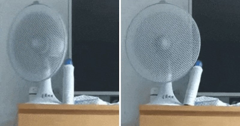 Dezodorans smeta ventilatoru, no ipak nekako uspijeva ne pasti