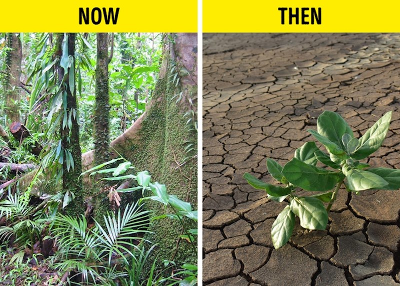 Temperatura na zemlji bi se drastično povećala.