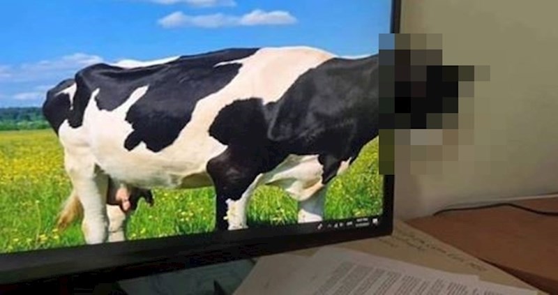 Nećete vjerovati tko viri iza ovog ekrana