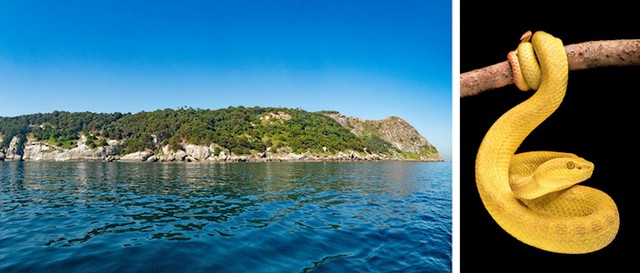 Otok zmija