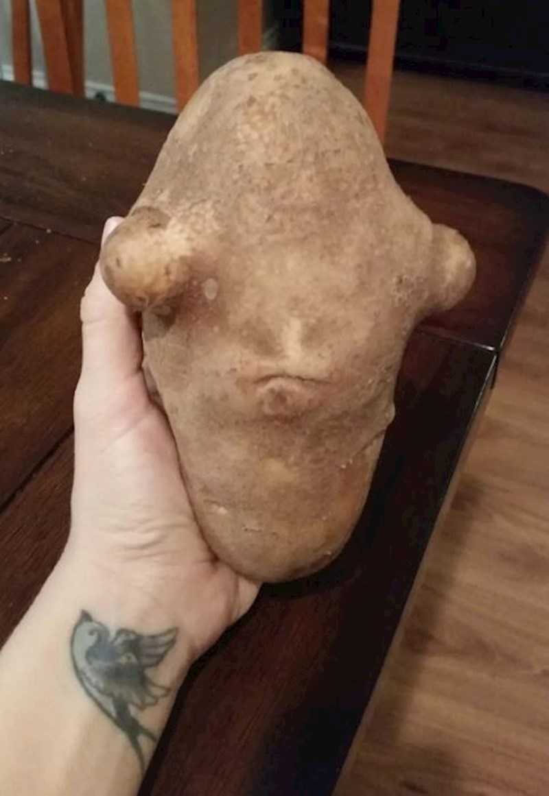 Neki ljudi bi rekli da je ovo krumpir, ali ovo je zapravo Admiral Ackbar iz Zvjezdanih staza.