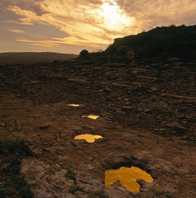 Prastari tragovi dinosaura u Argentini.