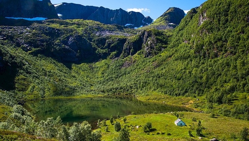 Izgleda kao da je priroda iskoristila svaku nijansu zelene boje za ovu fotografiju.