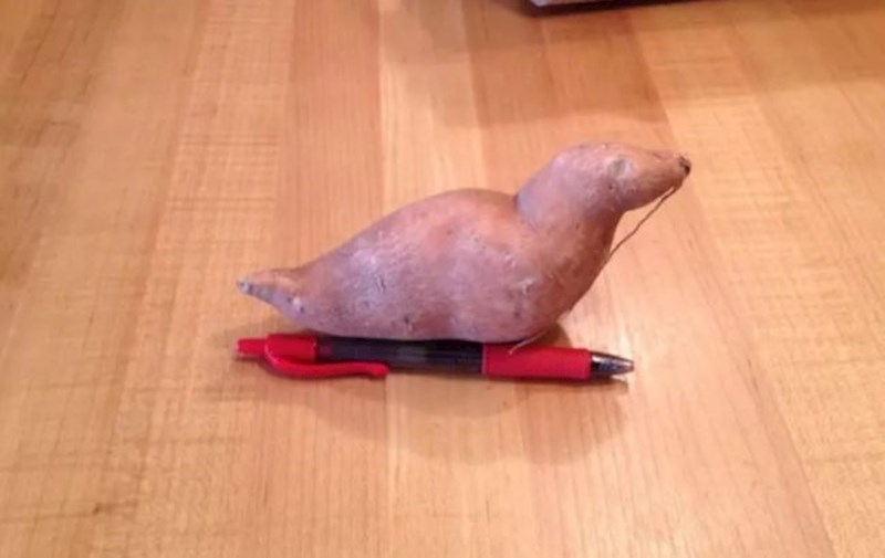 Ovaj slatki krumpir izgleda kao tuljan.