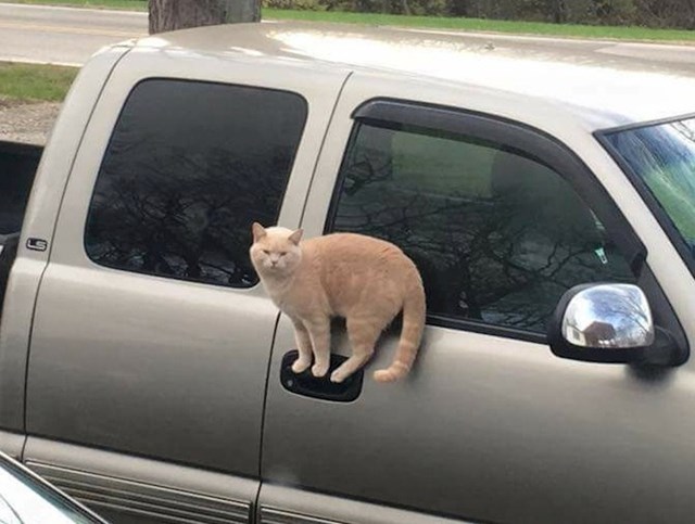 Kad čekaš mamu da ravrši razgovor i otključa auto.