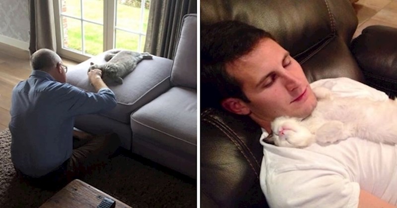 Ovi ljudi su izričito rekli da ne žele imati mačku, pogledajte što se dogodilo kada su ju dobili