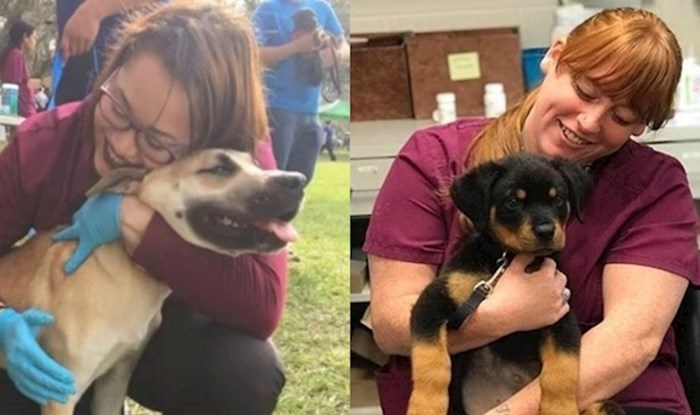 POSAO IZ SNOVA Ovaj azil na Floridi traži volontere za draganje napuštenih pasa