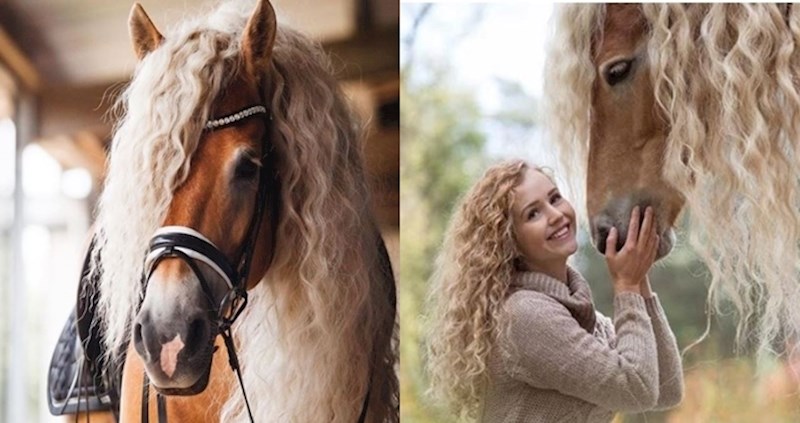 Upoznajte Storm, princezu životinjskog svijeta koja ima istu frizuru kao i njena vlasnica