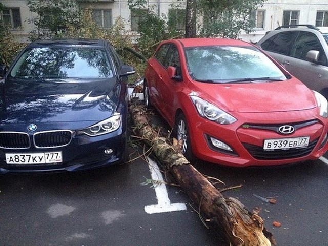Dva sretnika nisu se mogli bolje parkirati.