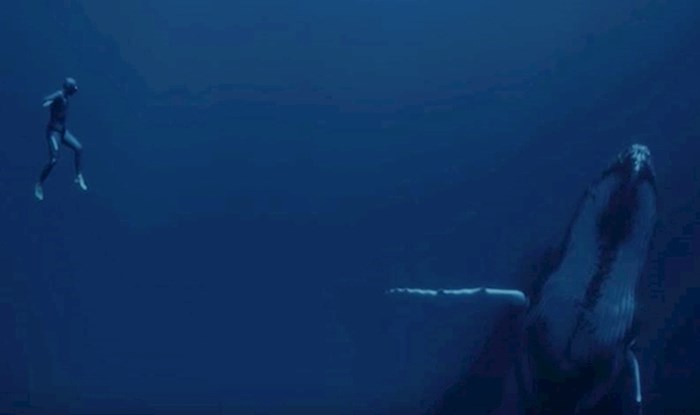 VIDEO Nevjerojatan video ronioca na dah u susretu s kitovima ostavit će vas bez riječi