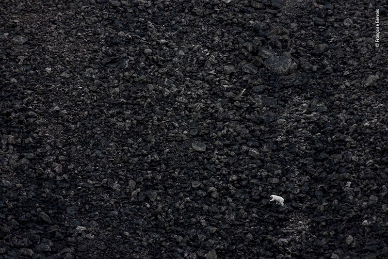 "Izazov", Francoise Gervais, Kanada