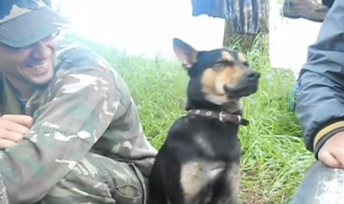 VIDEO Pogledajte kako se pas na zadatku bori sa snom