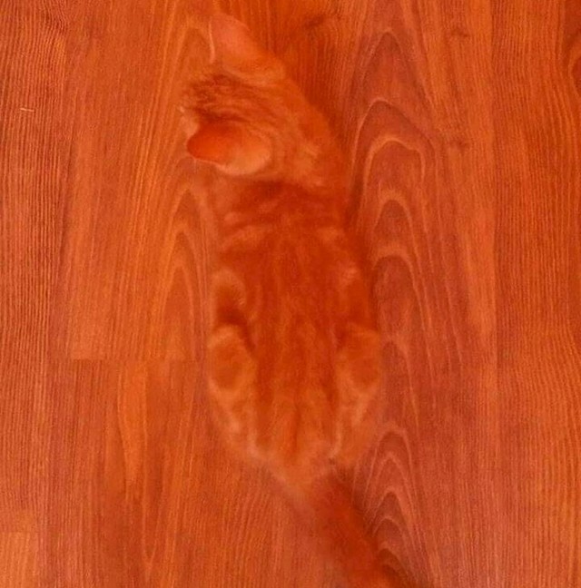 1.