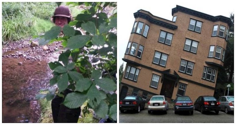 19 fotki na kojima nešto definitivno nije kako bi trebalo biti