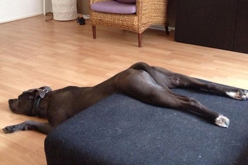 3. Njezina omiljena poza za spavanje